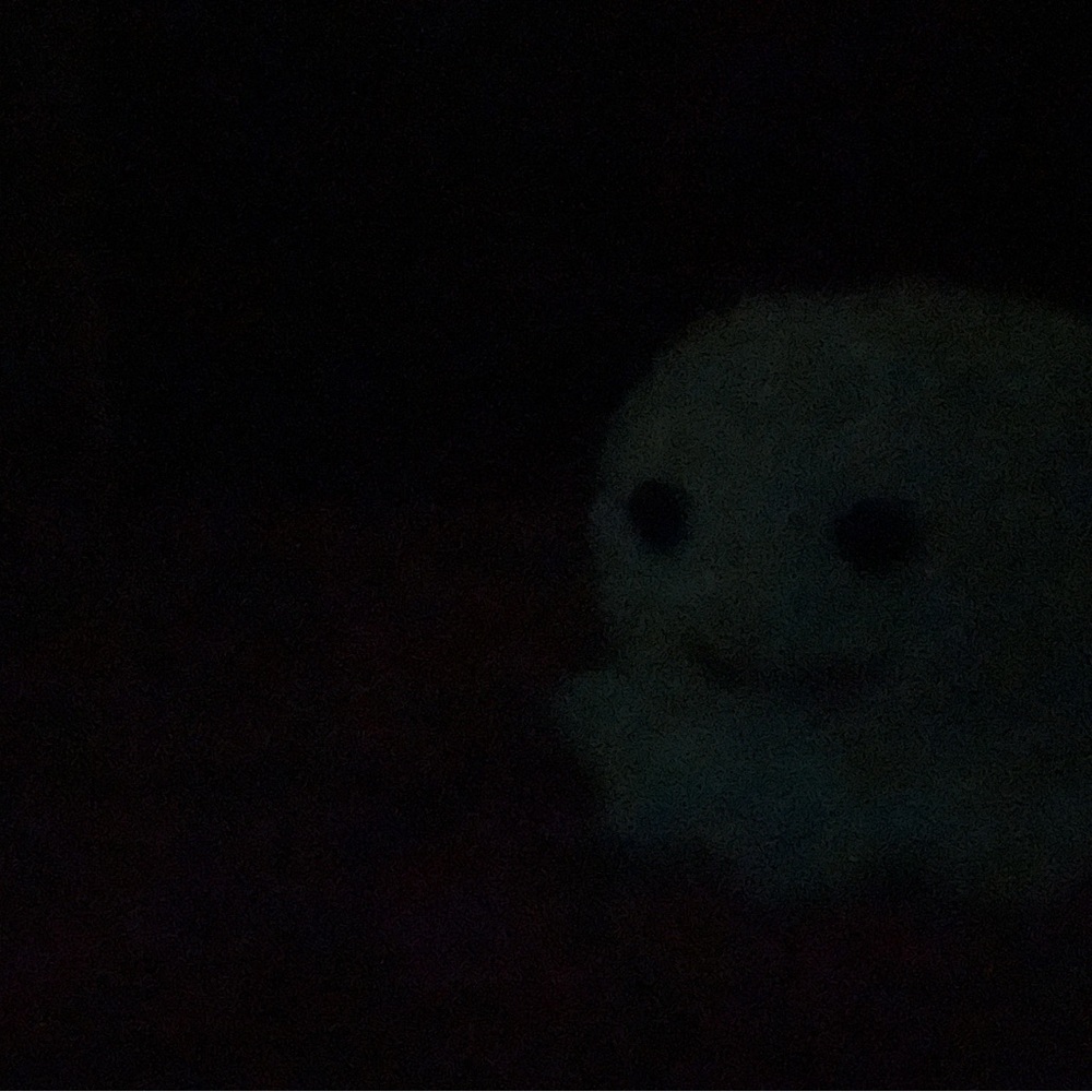 Baby ghost - Picture 5 of 5